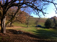 La colonie des pompons de BASSAN à BELLE COMBE